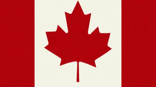 Kanada flagga vajande sömlös loop nya kvalitet unika animerade dynamiska rörelser joyful färgglada cool bakgrund videofilmer — Stockvideo