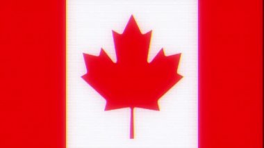 Kanada bayrağı gergin aksaklık eski bilgisayarda lcd led tv ekran ekran sorunsuz döngü animasyon siyah arka plan - yeni kalite ulusal gurur renkli neşeli video görüntüleri tüp