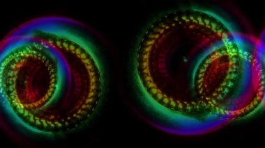 dönen soyut resim gökkuşağı sorunsuz döngü backgrond animasyon yeni kalite sanatsal neşeli renkli dinamik evrensel serin güzel video görüntüleri hareketli