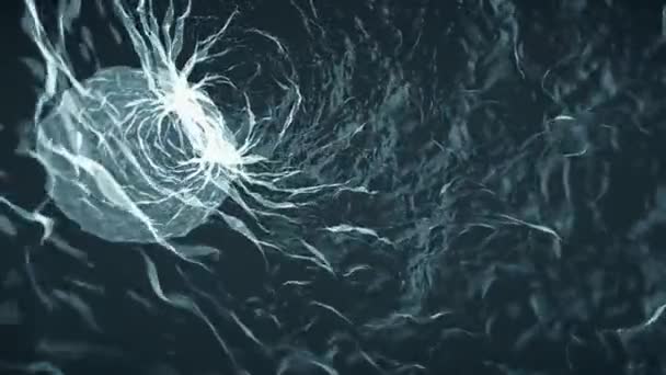 Intérieur doux mouvement eau tourbillon simulation animation arrière-plan nouvelle nature numérique qualité cool belle belle vidéo — Video