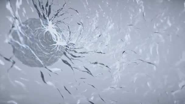 Intérieur doux mouvement eau tourbillon simulation animation arrière-plan nouvelle nature numérique qualité cool belle belle vidéo — Video