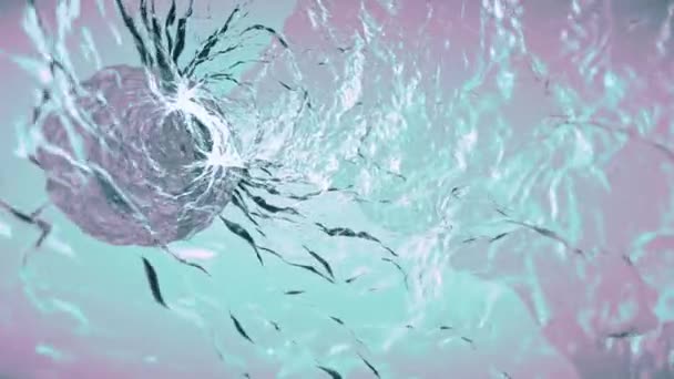 부드러운 이동 물 안에 소용돌이 시뮬레이션 애니메이션 배경 새로운 자연 디지털 품질 멋진 아름 다운 멋진 영상 — 비디오