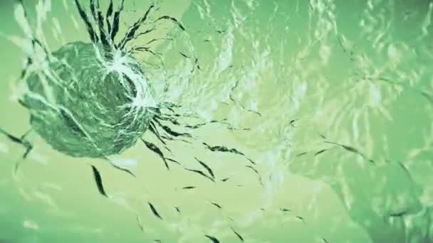 Inside soft moving water swirl simulation animation background new nature digital quality cool beautiful nice video footage — Stock Video