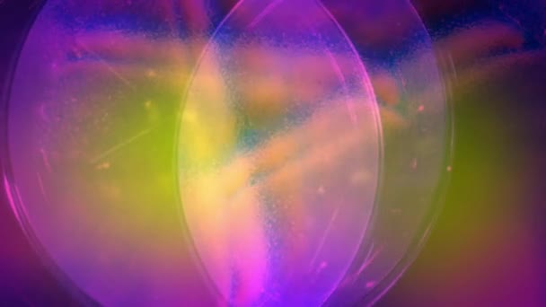 Bewegte weiche transluzente Glas abstrakte Malerei Regenbogen nahtlose Schleife backgrond Animation neue Qualität künstlerische freudig bunt dynamisch universell cool schön Videomaterial — Stockvideo