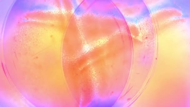 Mozgó, forgó puha áttetsző üveg absztrakt festészet szivárvány varrat nélküli hurok backgrond animáció új minőségű művészi örömteli színes dinamikus univerzális hűvös szép videofelvétel — Stock videók