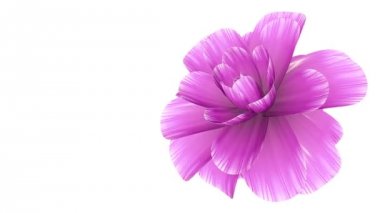 Pembe çiçek hızlandırılmış 3d animasyon üzerinde arka plan yeni kalite güzel izole uzun çiçeklenme açılış doğal çiçek serin güzel 4 k video görüntüleri tatil