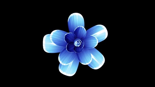 Otevírací dlouho kvetoucí modrý květ Časosběr 3d animace izolované na pozadí nové kvalitní krásná dovolená přírodní květinová cool pěkné 4 k videozáznamu — Stock video