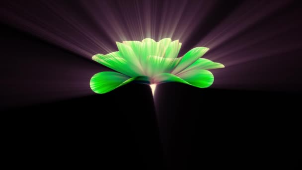 Parlak ışık yeşil çiçek hızlandırılmış 3d animasyon üzerinde arka plan yeni kalite güzel izole uzun çiçeklenme açılış doğal çiçek serin güzel 4 k video görüntüleri tatil — Stok video