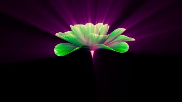 Parlak ışık yeşil çiçek hızlandırılmış 3d animasyon üzerinde arka plan yeni kalite güzel izole uzun çiçeklenme açılış doğal çiçek serin güzel 4 k video görüntüleri tatil — Stok video