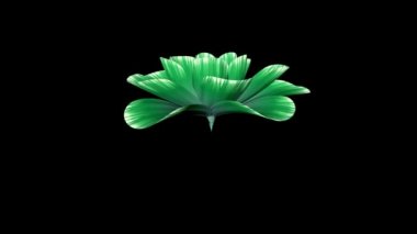 greeen çiçek hızlandırılmış bir 3d animasyon üzerinde arka plan yeni kalite güzel izole uzun çiçeklenme açılış doğal çiçek serin güzel 4 k video görüntüleri tatil