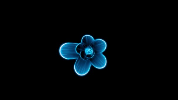 Otwarcie długo kwitnące time-lapse animacji 3d niebieski kwiat na białym tle na tle nowej jakości piękne wakacje naturalne kwiatowy fajne ładne 4 k wideo — Wideo stockowe