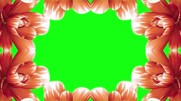 Apertura lungo fioritura arancio fiori farme time-lapse animazione isolato su chroma chiave verde schermo sfondo nuovo matrimonio di qualità 3d bella vacanza naturale floreale fresco bello 4k video — Video Stock