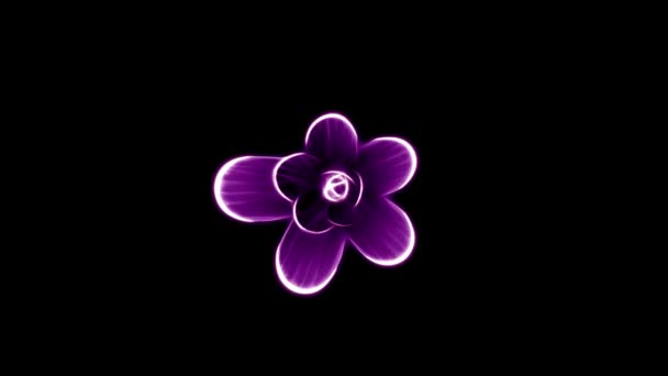 Opening long blooming purple flower time-lapse 3d animation isolated on background new quality beautiful holiday natural floral cool nice 4k video footage — Stock Video