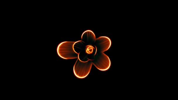 Öffnung lange blühende orange Blume Zeitraffer 3d-Animation isoliert auf dem Hintergrund neue Qualität schönen Urlaub natürliche Blumen cool schön 4k Videomaterial — Stockvideo