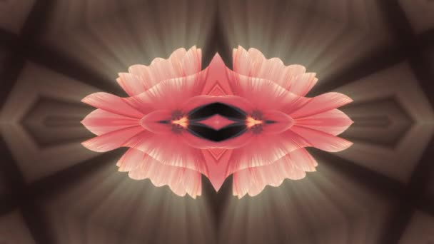 Decoratieve bloeiende bloem Caleidoscoop verplaatsen patroon animatie achtergrond - nieuwe kwaliteit vakantie vorm kleurrijke universele beweging dynamische geanimeerde vreugdevolle cool leuke muziek video beelden — Stockvideo
