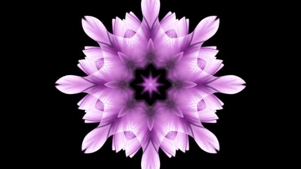 Ornamentale blühende Blume Kaleidoskop bewegte Muster Animation Hintergrund - neue Qualität Urlaub Form bunt universelle Bewegung dynamisch animiert freudig cool schöne Musik-Video-Footage — Stockvideo