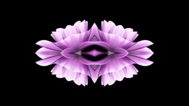 süs çiçek açan çiçek desen animasyon arka plan - yeni hareketli kaleydoskop kaliteli tatil şekli renkli evrensel hareket dinamik animasyon neşeli serin güzel müzik video görüntüleri