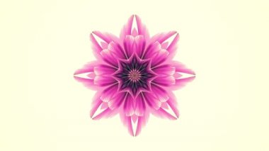 süs çiçek açan çiçek desen animasyon arka plan - yeni hareketli kaleydoskop kaliteli tatil şekli renkli evrensel hareket dinamik animasyon neşeli serin güzel müzik video görüntüleri