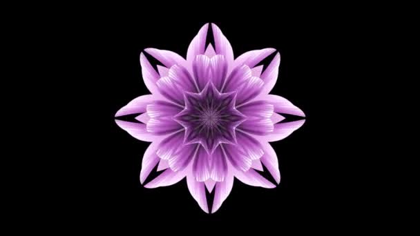 Ornamental blooming flower kaleidoscope moving pattern animation background  - New quality holiday shape colorful universal motion dynamic animated  joyful cool nice music video footage — Stock Video © SBI #192888010