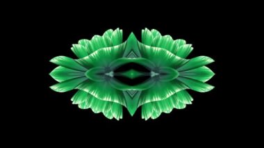 süs çiçek açan çiçek desen animasyon arka plan - yeni hareketli kaleydoskop kaliteli tatil şekli renkli evrensel hareket dinamik animasyon neşeli serin güzel müzik video görüntüleri