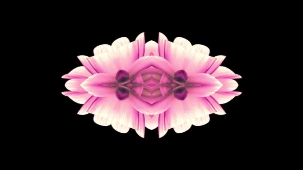 Ornamentale blühende Blume Kaleidoskop bewegte Muster Animation Hintergrund - neue Qualität Urlaub Form bunt universelle Bewegung dynamisch animiert freudig cool schöne Musik-Video-Footage — Stockvideo