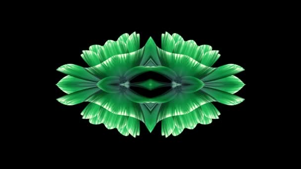 Ornamentale blühende Blume Kaleidoskop bewegte Muster Animation Hintergrund - neue Qualität Urlaub Form bunt universelle Bewegung dynamisch animiert freudig cool schöne Musik-Video-Footage — Stockvideo