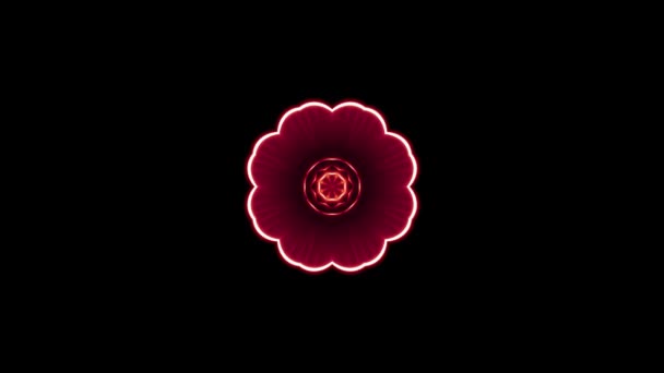 Prydnadsväxter blommande blomma Kalejdoskop flyttar animation bakgrund - ny kvalitet semester form färgglada universella rörelse dynamiska animerade glada cool trevlig musik video film — Stockvideo