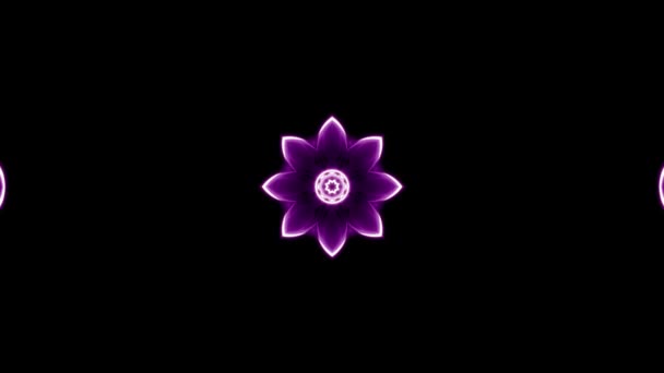 Ozdobnych kwitnących kwiatów Kalejdoskop ruchu animacji w tle - nowe wysokiej jakości wakacje kształt kolorowe uniwersalny ruchu dynamicznego animowane radosny fajne ładne muzyka wideo nagrania — Wideo stockowe