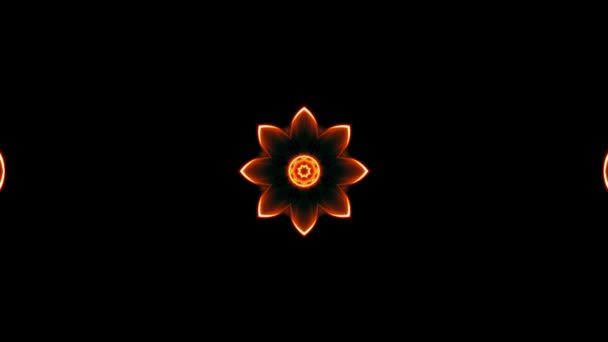 Декоративна квітуча квітка калейдоскоп рухомий візерунок анімаційний фон Нова якість свято форма барвистий універсальний рух динамічний анімований радісний крутий хороший музичний відеозапис — стокове відео