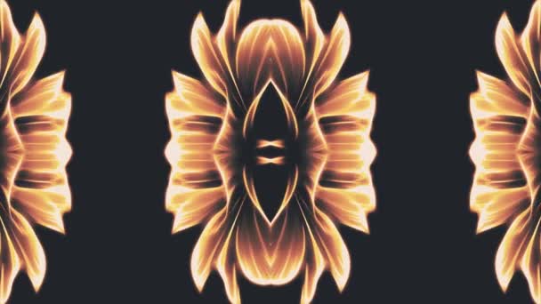 fleur ornementale fleur kaléidoscope motif mobile animation fond - Nouvelle forme de vacances de qualité coloré mouvement universel dynamique animé joyeux cool belle séquence vidéo de musique 