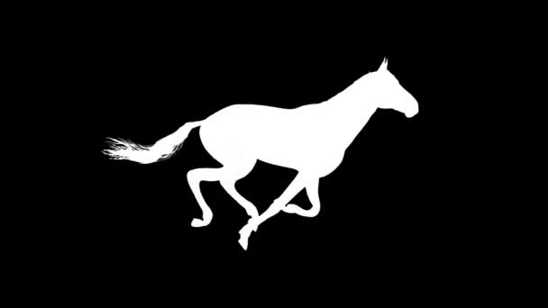 White horse running silhouette seamless loop new quality unique animation dynamic joyful 4k video stock footage — Stock Video