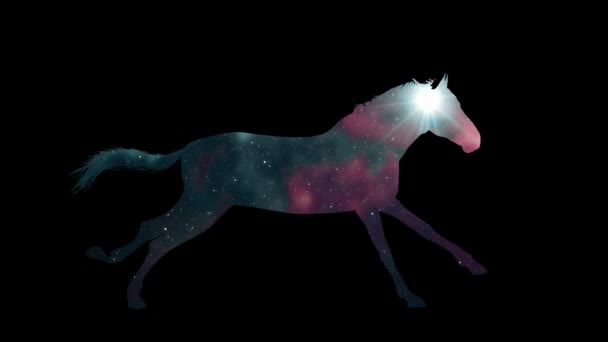 Wit paard draait silhouet naadloze lus nieuwe kwaliteit unieke animatie dynamische vrolijke 4k video stock beelden — Stockvideo