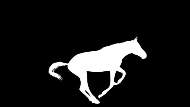 White horse jumping silhouette loop new quality unique animation dynamic joyful 4k video stock footage — Stock Video