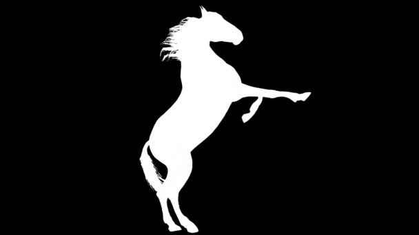 White light horse prancing silhouette loop new quality unique animation dynamic joyful 4k video stock footage — Stock Video