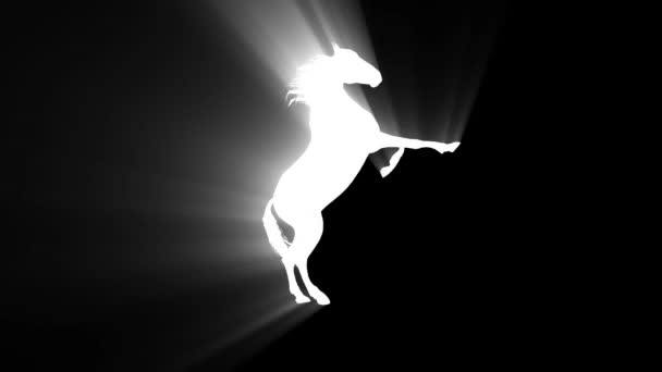 Luz branca cavalo prancing silhueta loop nova qualidade única animação dinâmica alegre 4k vídeo stock footage — Vídeo de Stock
