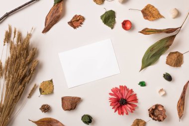 Sonbahar arka plan beyaz kağıt kartı ile