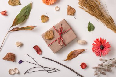 Sonbahar yaratıcı ile zanaat hediye seti