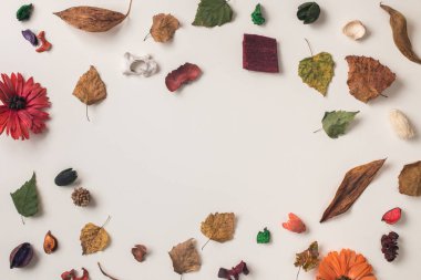 Arka plan ile sonbahar bitkiler