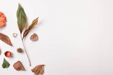 Kopya alanı ile kuru yaprakların sonbahar ayarla