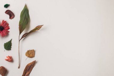 Boş alanı ile sonbahar kompozisyon