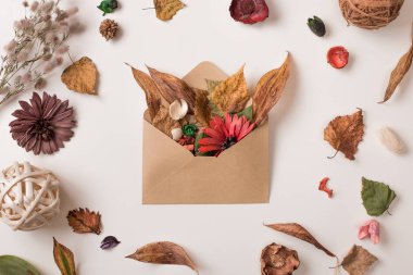 Sonbahar yapraklarının tam zarf ile ayarla