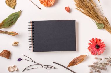 Sonbahar Kuru bitkiler ve siyah sketchbook