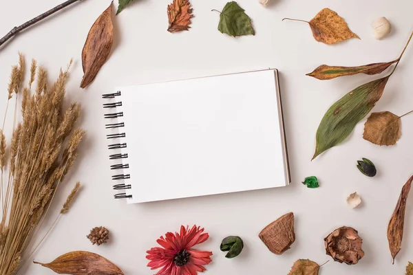 Sonbahar Kuru bitkiler ve beyaz sketchbook kadar sahte