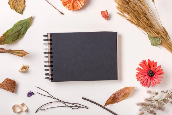 Sonbahar Kuru bitkiler ve siyah sketchbook