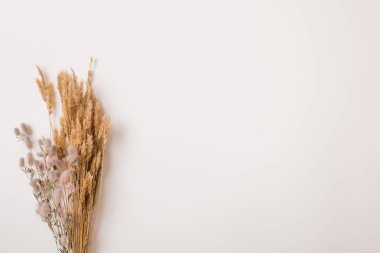 Kurutulmuş buğday şube ve çiçekler