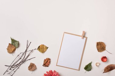 Kağıt kartı kadar sahte ve Sonbahar Kuru sonbahar yaprakları