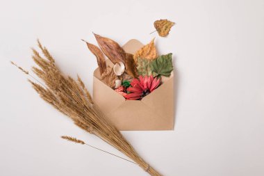 Yaprakları ve buğday ile sonbahar zarf