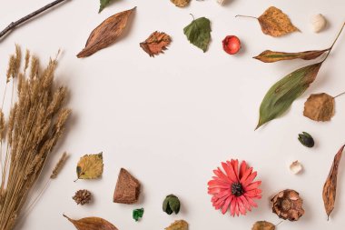 Sonbahar ile Center'da yer ayarla