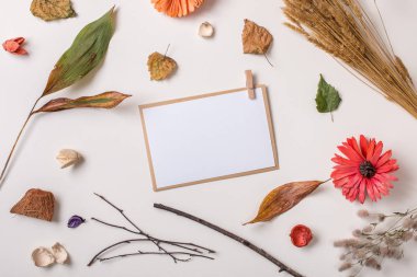 Yaratıcı kümesi sonbahar kuru bitkiler: düşen sonbahar yaprakları, kurutulmuş çiçek ve yaprakları, basit rustik dalları, buğday grup ve boş kağıt kartı / davet alay. Beyaz arka plan. Üstten görünüm. Düz yatıyordu.
