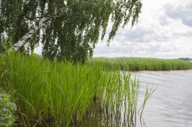 Kıyıdan Volga nehrinin manzarası